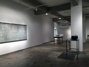 Kim Foster Gallery, Chelsea, New York. A joint show of Kathleen Mulcahy and Ron Desmett.