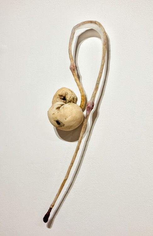 drop (2000), clay, glaze, pig intestine, raspberries and blackberries, 41 by 19 by 5 inches [the WeTransfer size is 1 612 561]