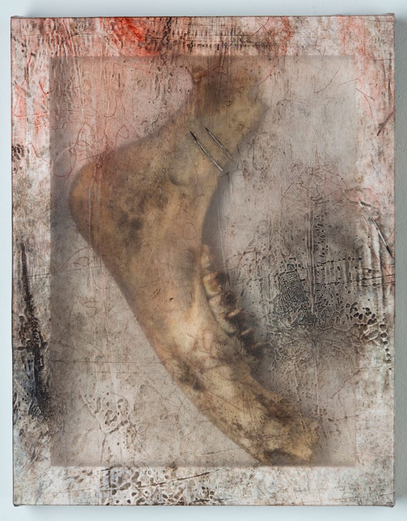 Sonya Kelliher-Combs, detail of Remnant (2016), moose jaw bone