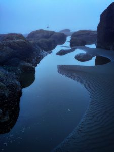 Olympic Tidepools (2015), digital archival print, 16 by 24 inches