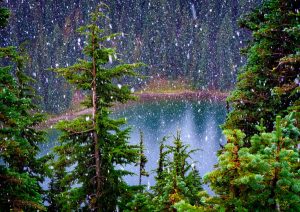 Louise Lake in Summer (Mt. Rainier), 2015, digital archival print, 16 by 24 inches