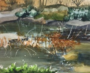 Dudley Zopp, Rain Garden (2017), watercolor on rag paper, 9 by 11 inches