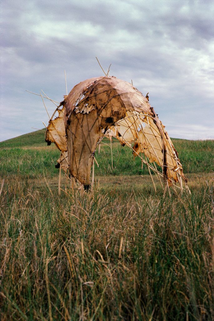Synchrony (1983), deer hide, willow limbs, 67 by 57 by 75 inches. (Collection: Guggenheim Museum, New York, NY)