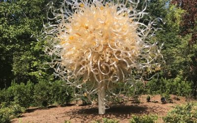 Into the Woods with Dale Chihuly