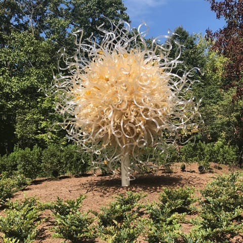 Into the Woods with Dale Chihuly