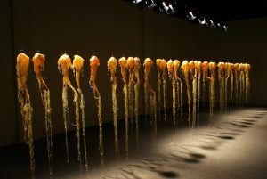 "Beets" (2004-2007), animal collagen, artificial sinew, organic matter, polyester resin, series of 32